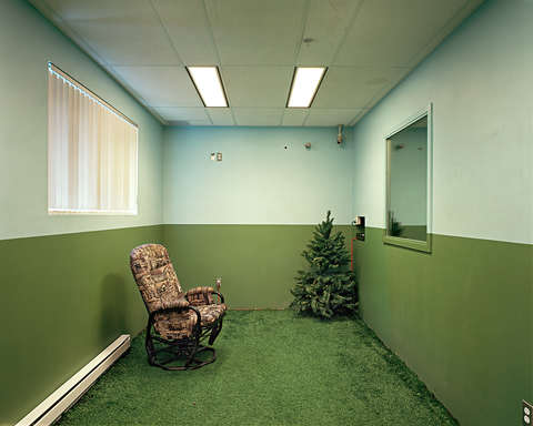 Lynne Cohen Untitled Astroturf 2007 LR