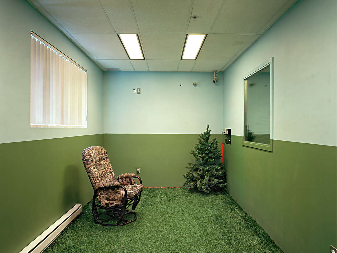 Lynne Cohen Untitled Astroturf 2007 LR